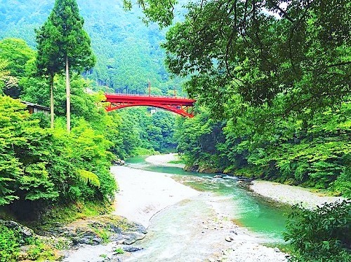 hatonosu keikoku top 3